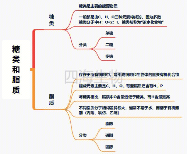 生物化学糖类思维导图图片