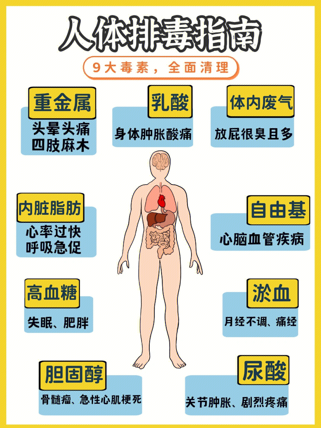 身体8大排毒口图片