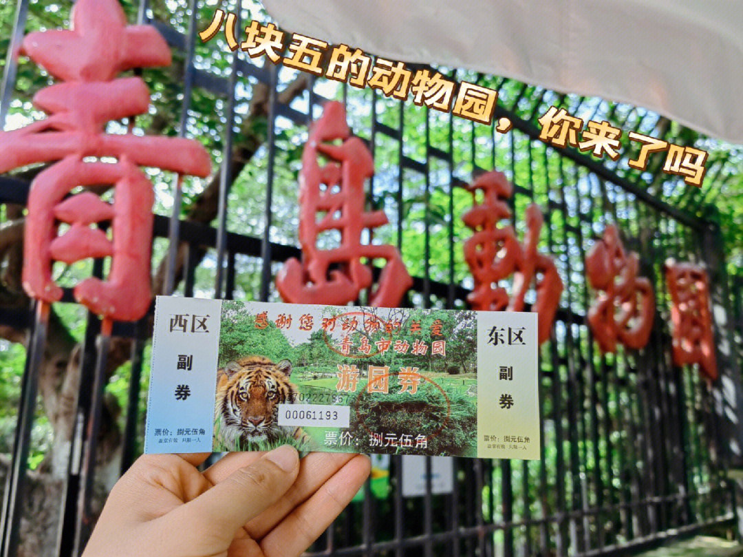 青岛市动物园,位置在青岛中山公园北侧我们今天的出行路线是地铁一号