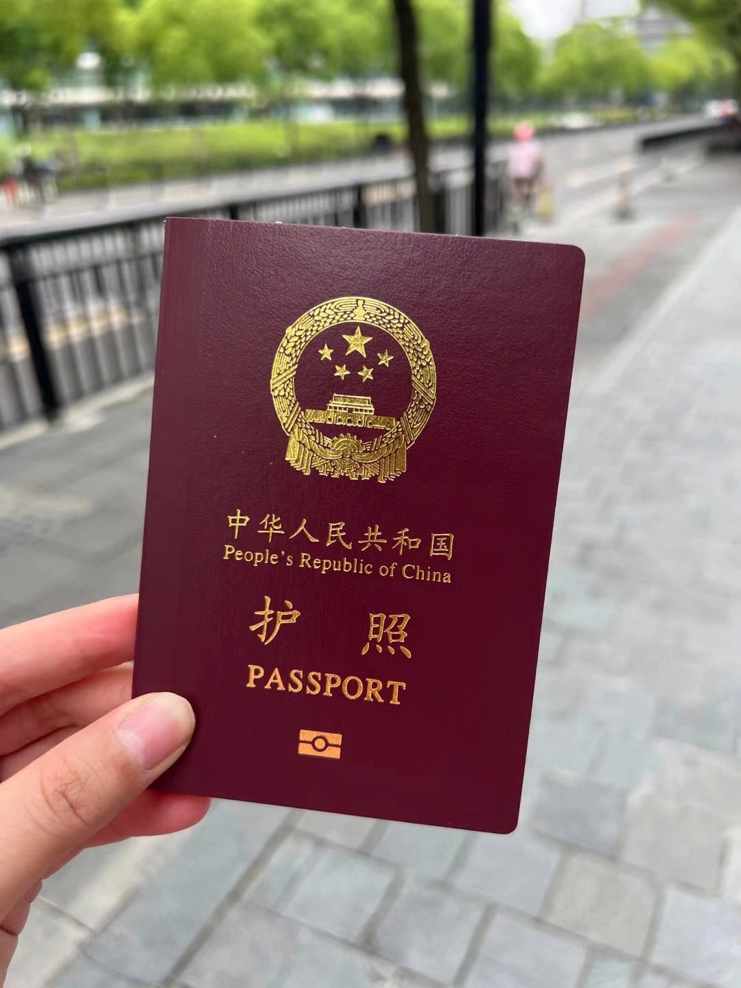 上海解封心心念念拿到了宝宝的护照