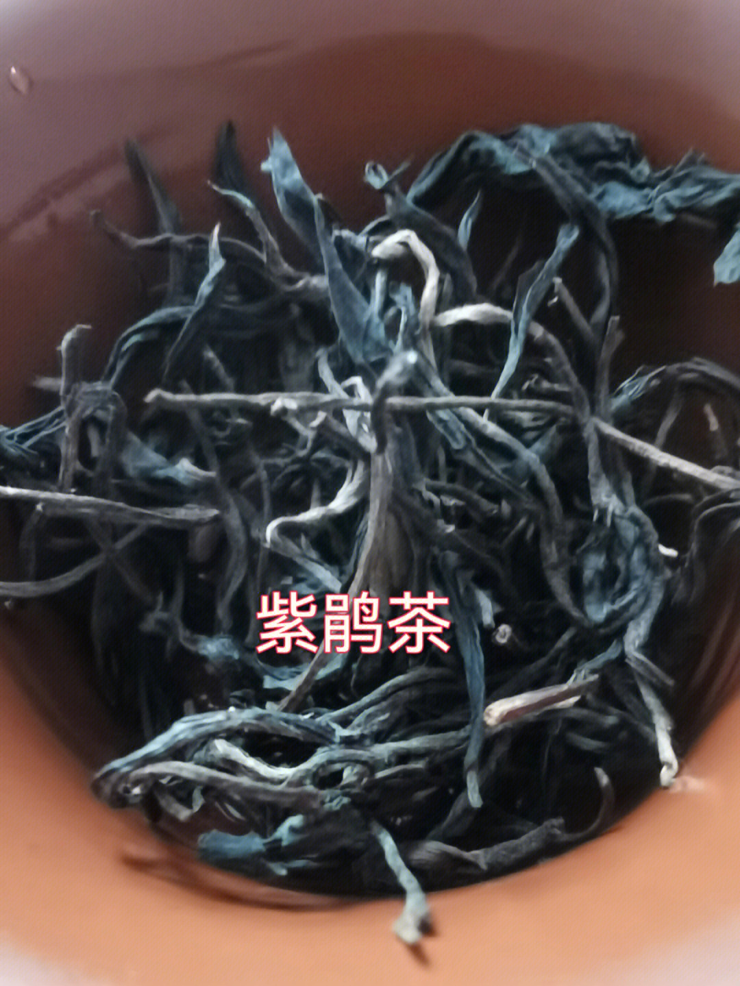 紫娟茶功效图片