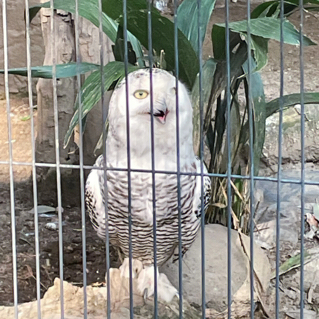 不如去水族馆真的