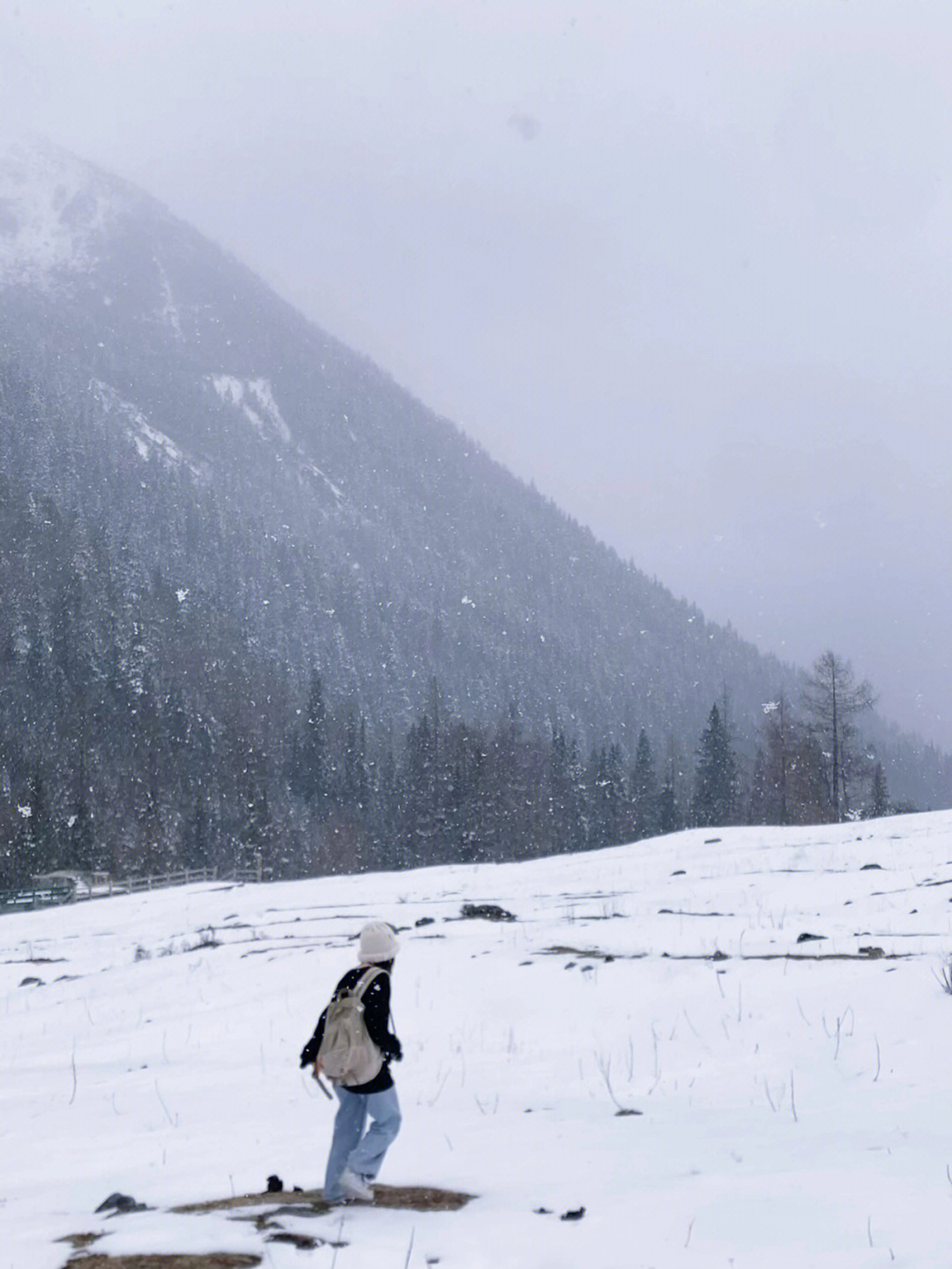 见雪