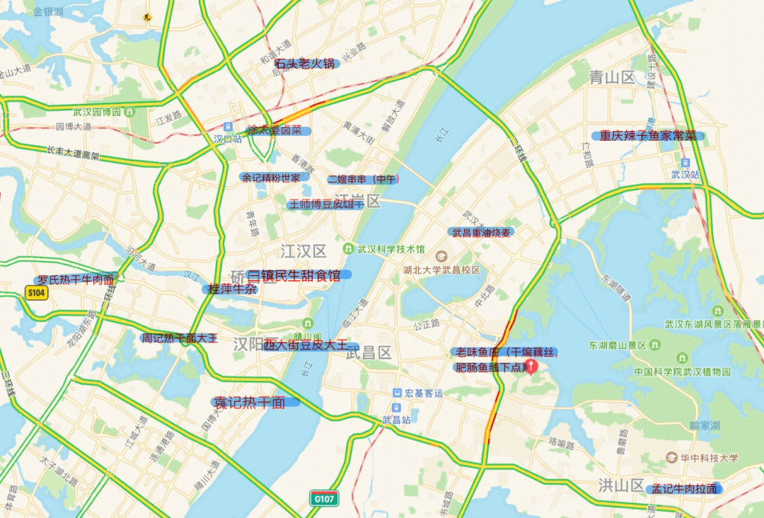 武汉金口地图图片