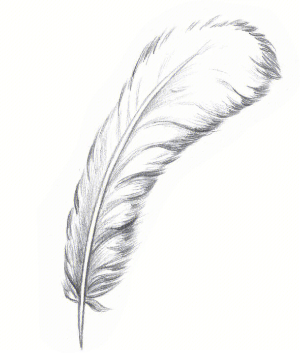 73铅笔素描如此简单羽毛