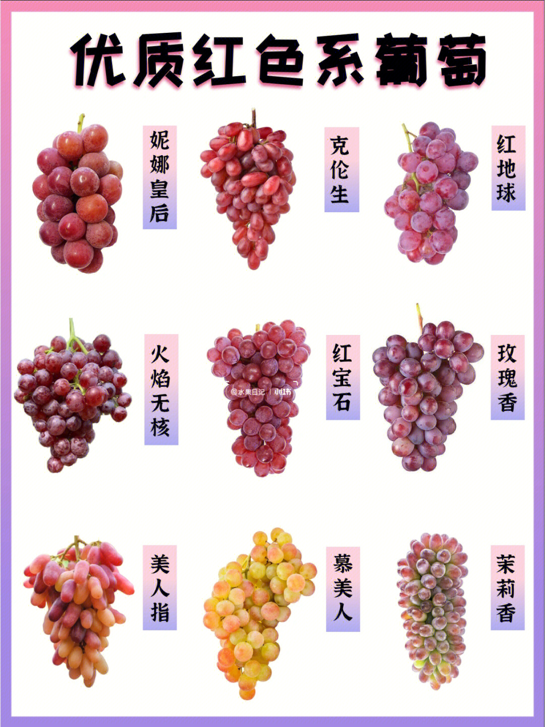 好吃的红色系葡萄品种产季产区