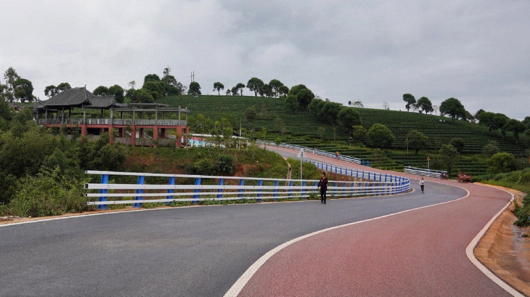 网红公路百里普洱茶道