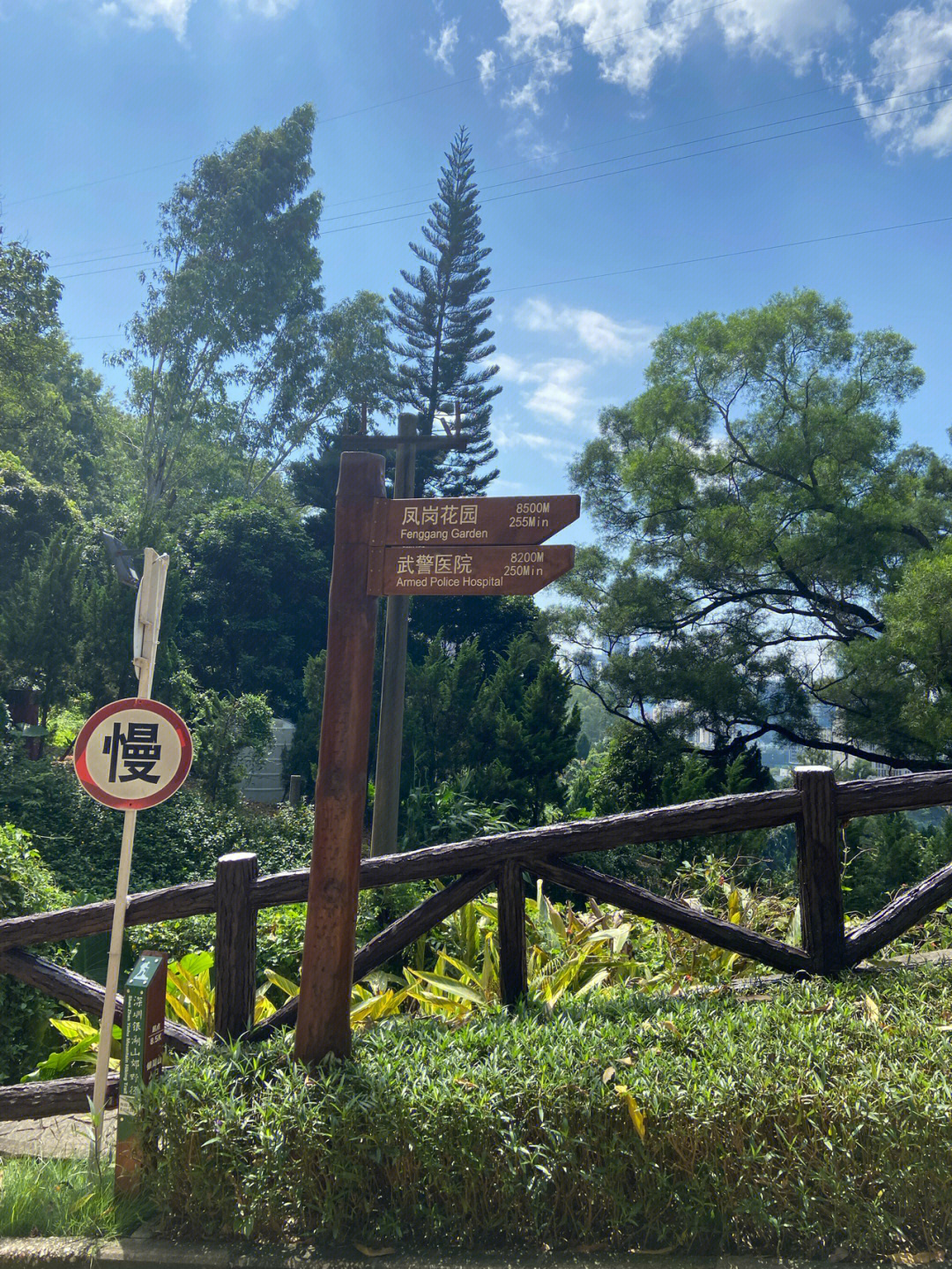 深圳徒步登山旅行银湖山郊野公园