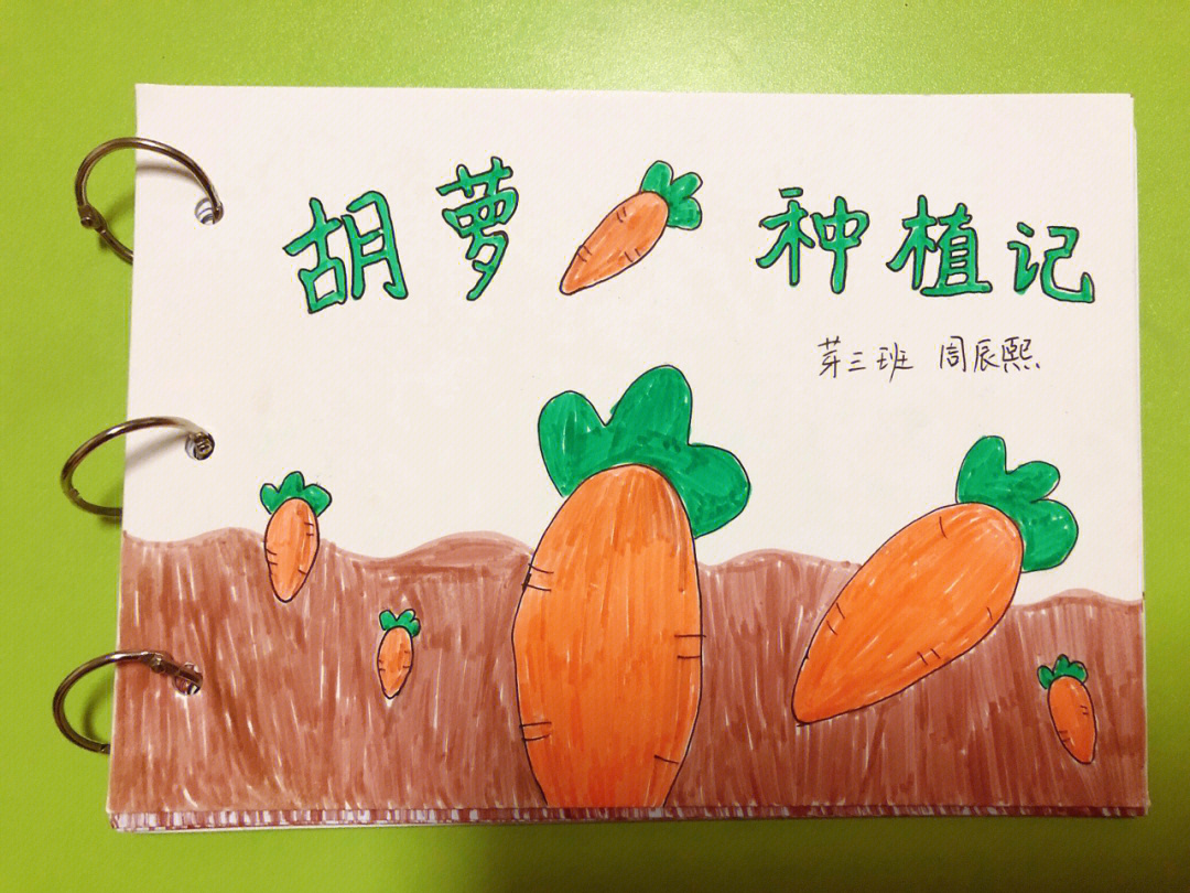 幼儿园自制绘本胡萝卜种植记