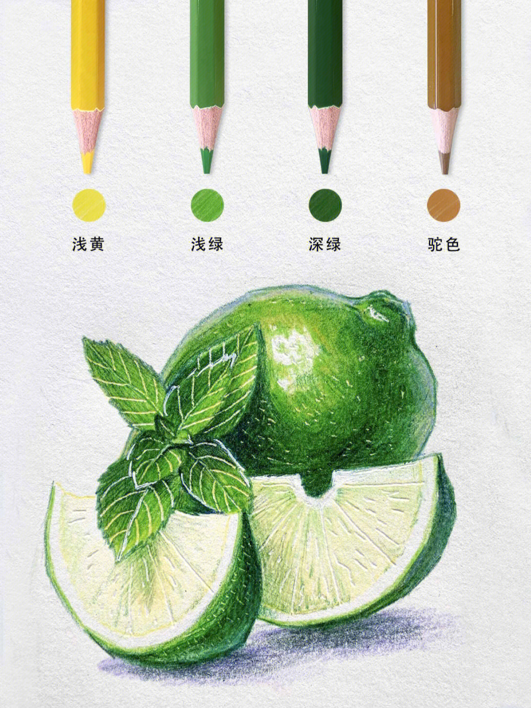 柠檬树画法图片