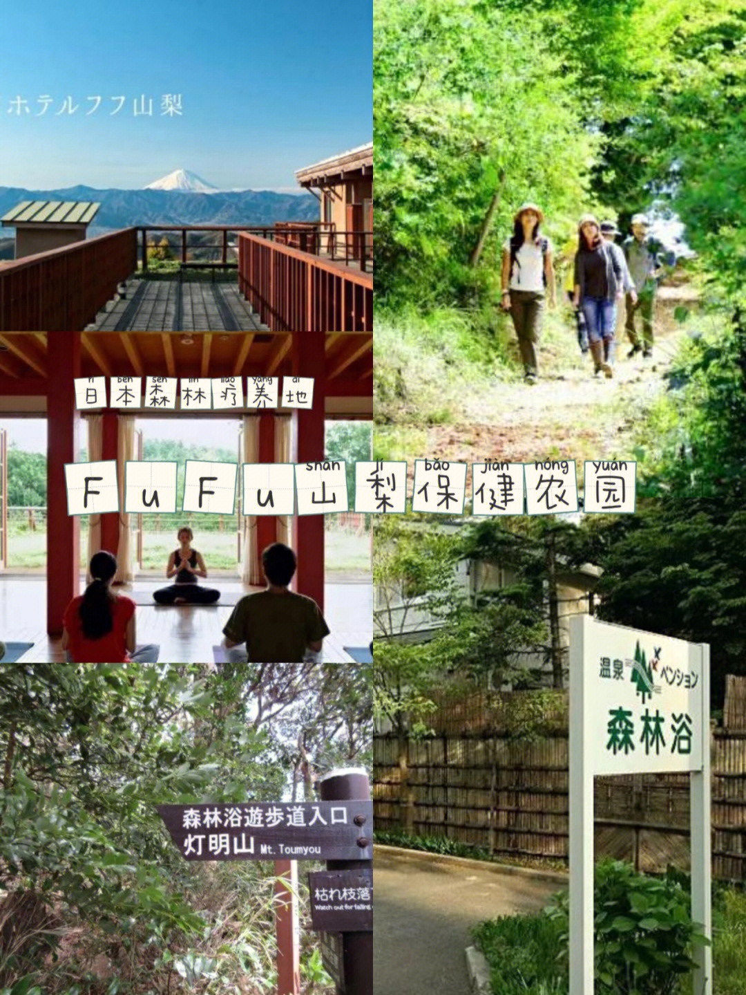 日本森林疗养案例fufu山梨保健农园1