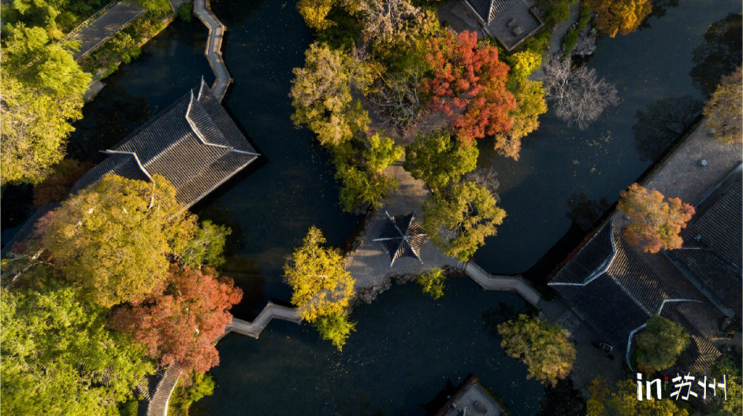 苏州园林的秋天究竟能有多美丨拙政园