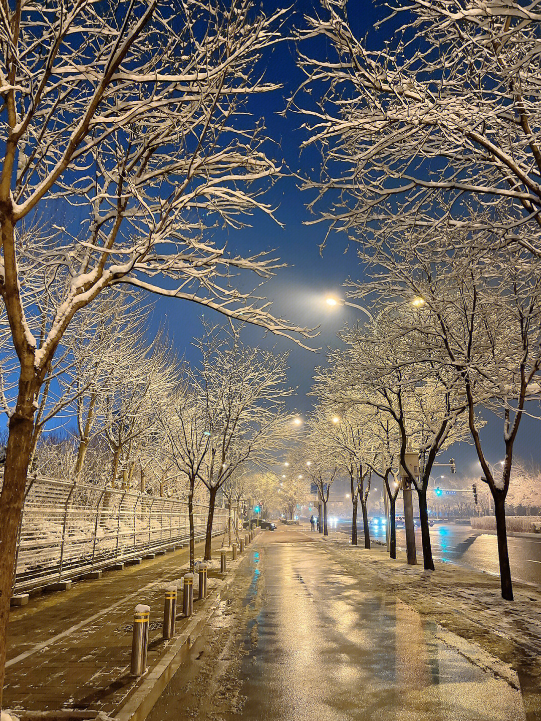 关于雪景照片的名字图片