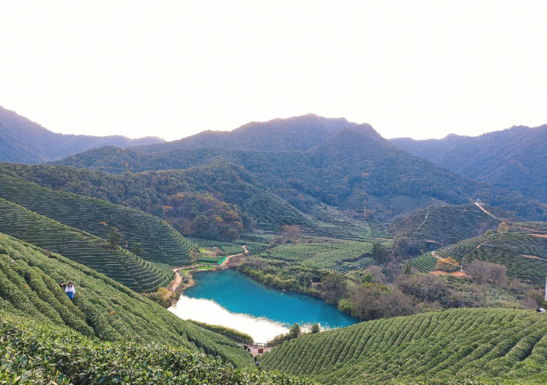 龙坞茶园天然吸氧之地