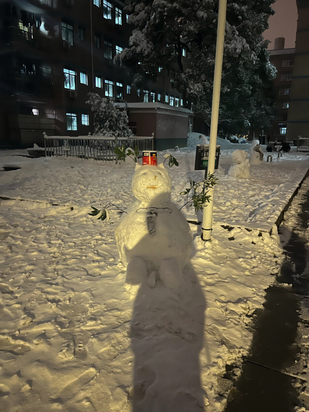 晚上堆雪人图片 实景图片