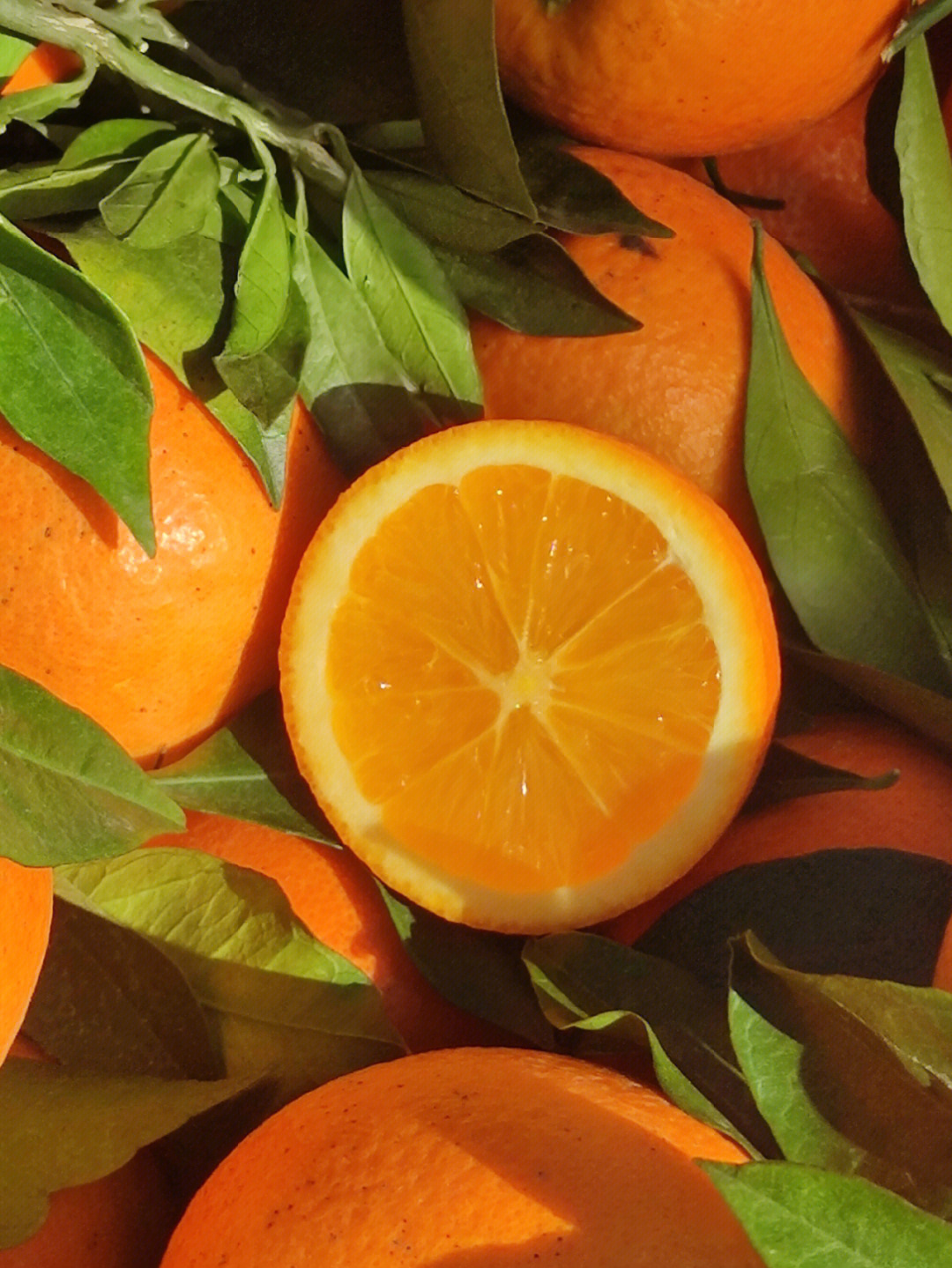 切开的橙子 真实图片