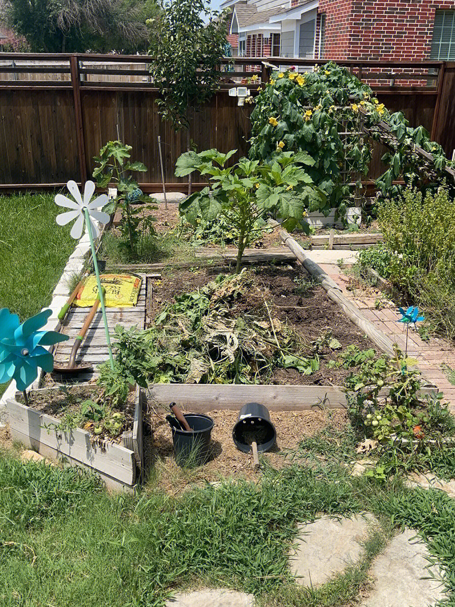 今年夏天被蚊虫折磨了不行,下定决心改造后院了,把原本的菜园子拆了