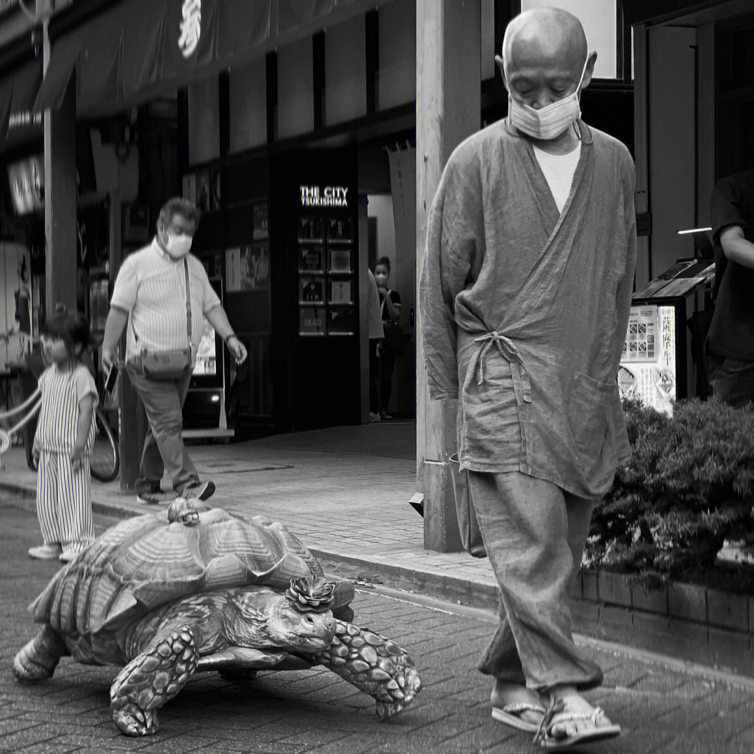 东京月岛散步龟