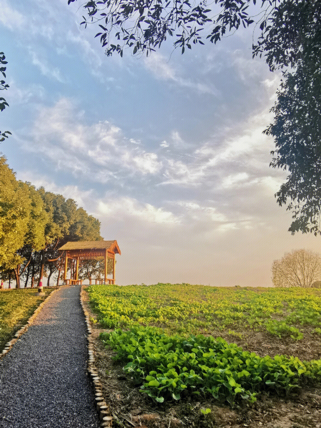 苏州虎丘湿地公园简介图片