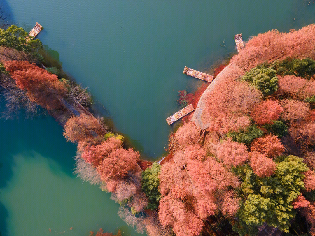 航拍东湖落雁景区