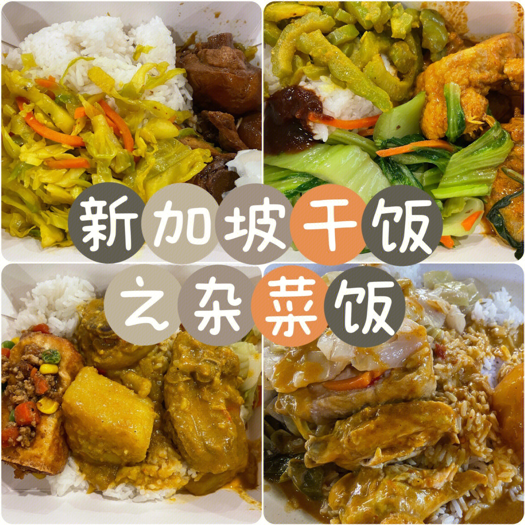 新加坡杂菜饭图片