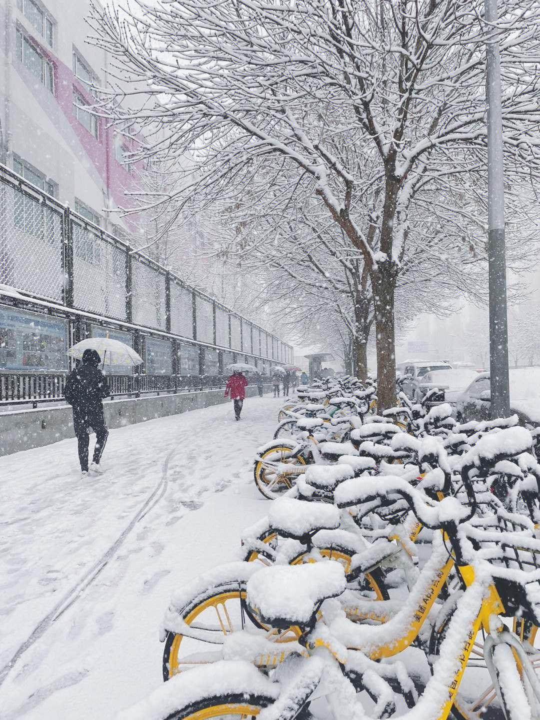 小区里的雪景