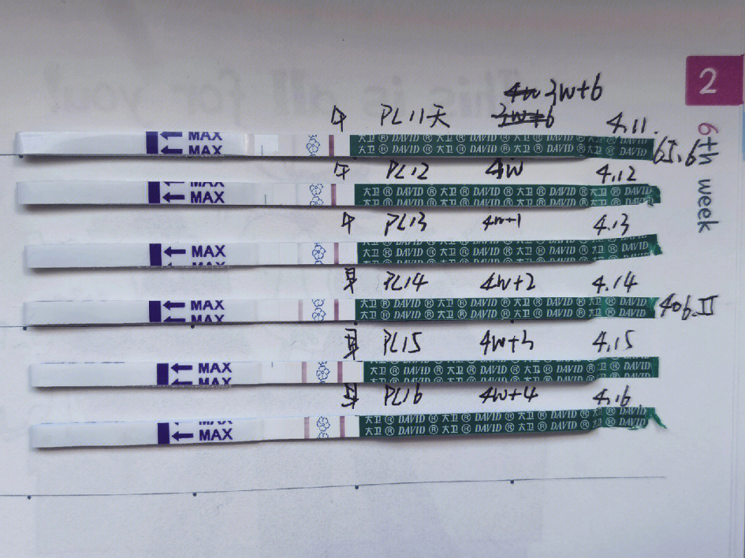 大卫验孕棒对照表图片