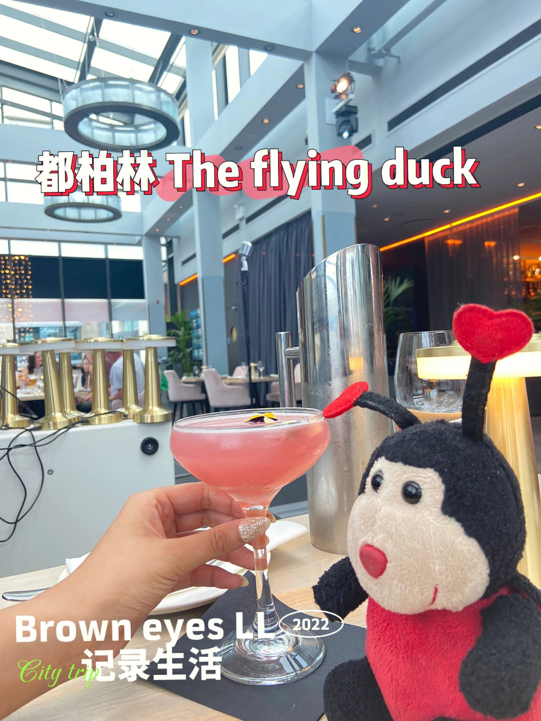 飞鸭―Flyingduck网站图片