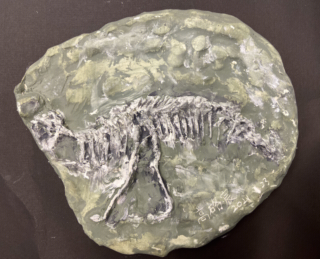 35岁宝贝做的恐龙化石
