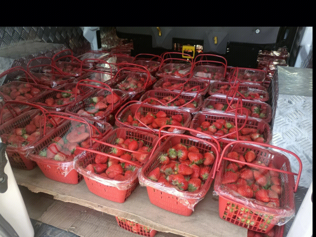 武汉红颜草莓大量团购
