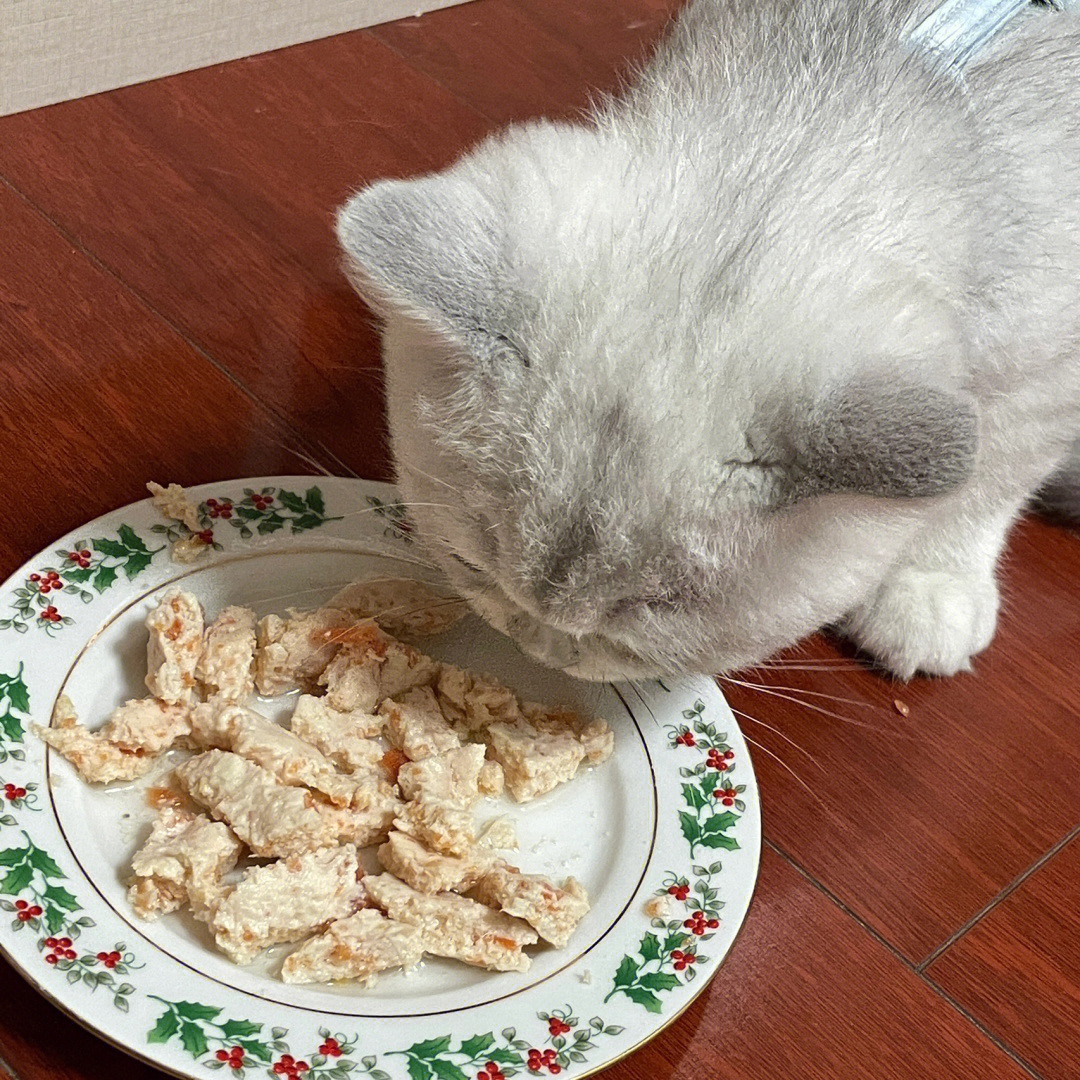 浅做一个猫饭