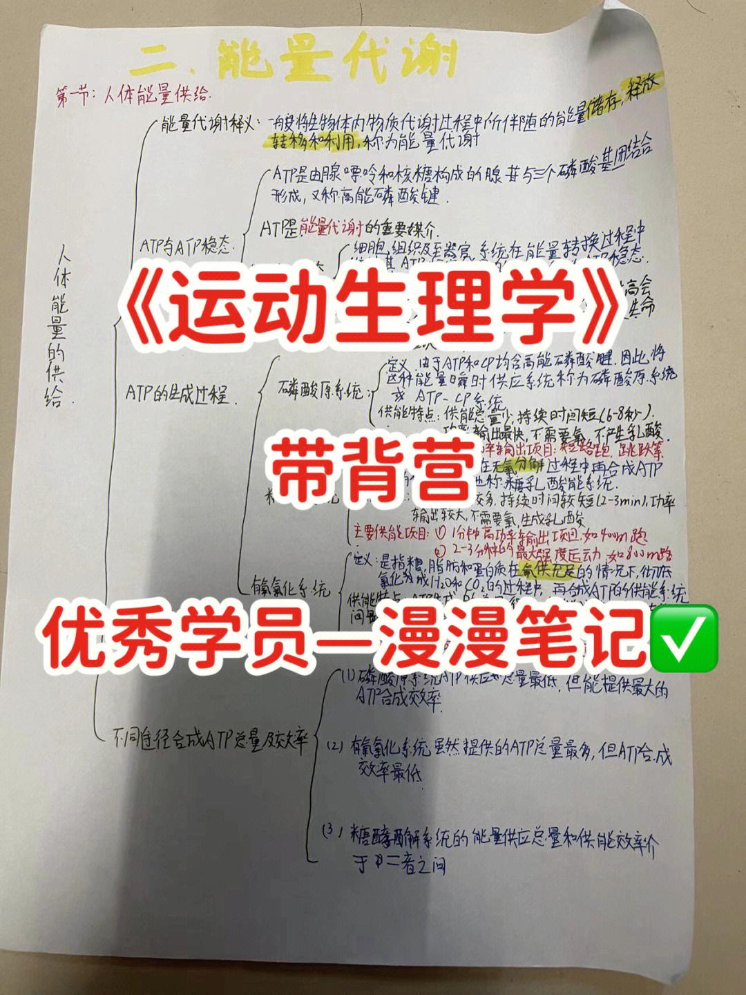 运动解剖学笔记重点图片