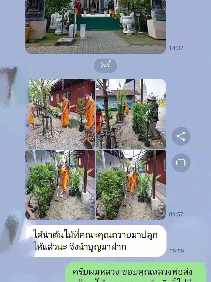 泰国植树节图片图片