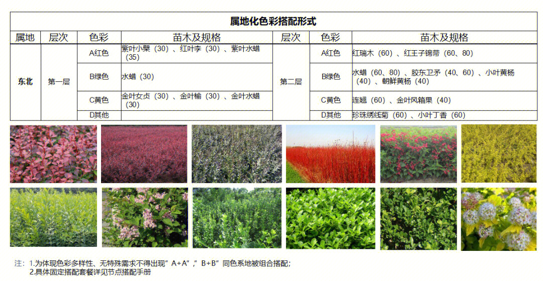 景观地被设计指引17东北青海西藏新