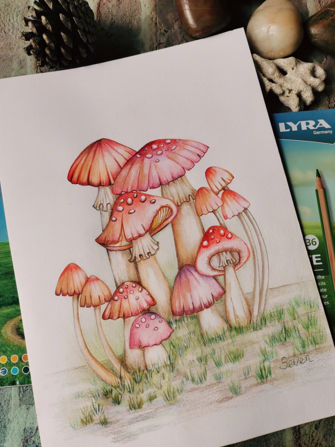 彩铅我的蘑菇系列小画