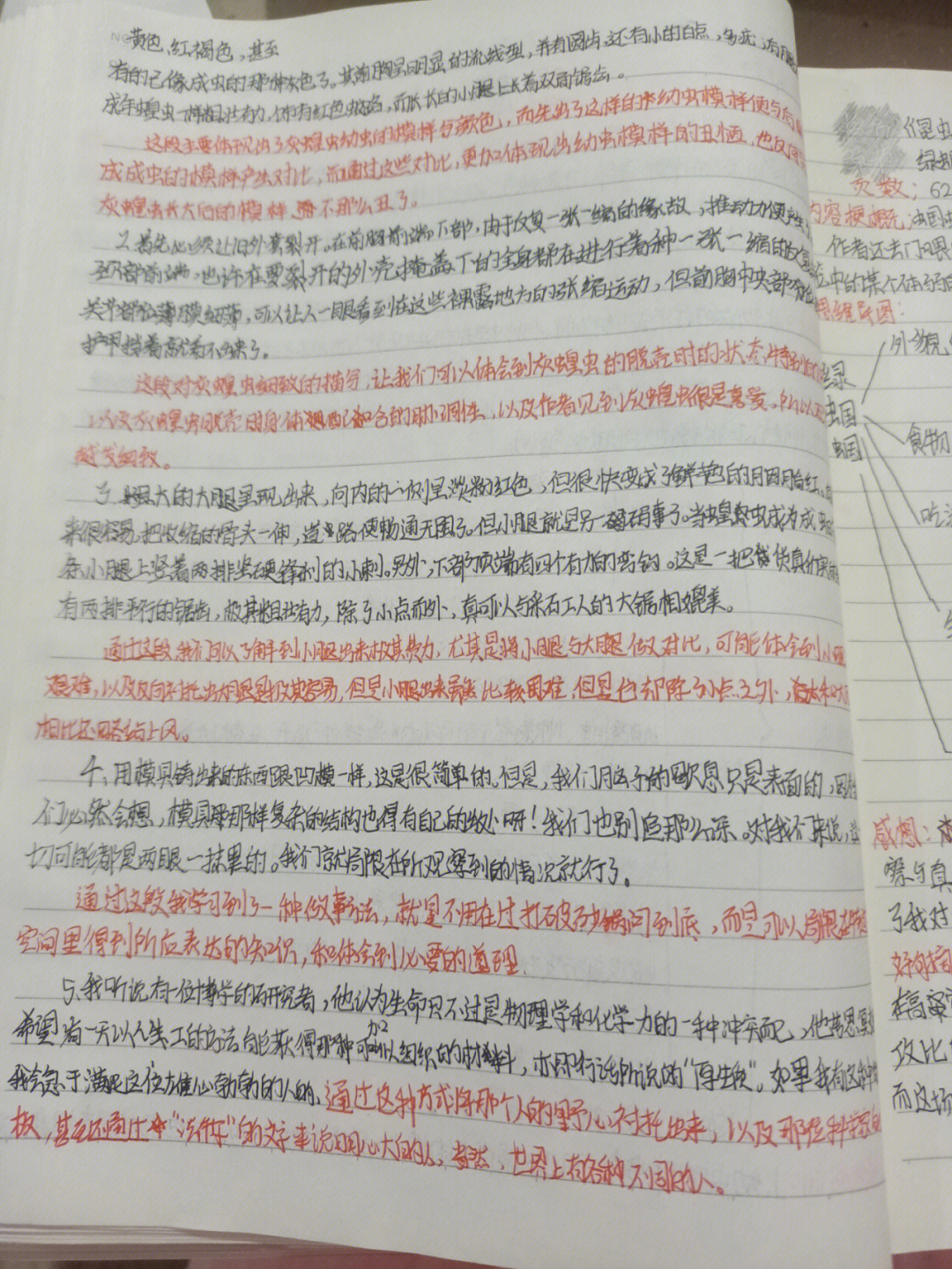 蝉出地洞螳螂捕食灰蝗虫