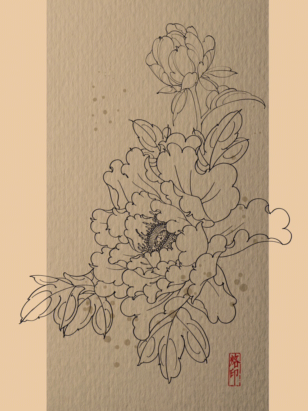 牡丹花图案设计手稿图片