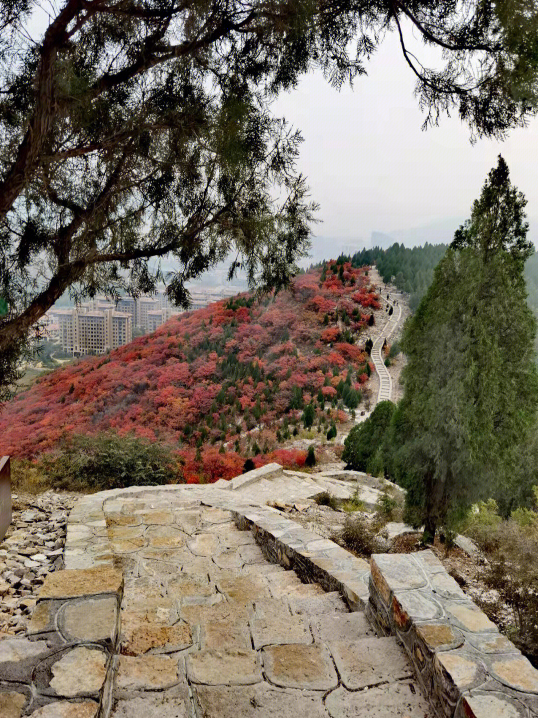 美丽的蝎子山和蚰蜒山