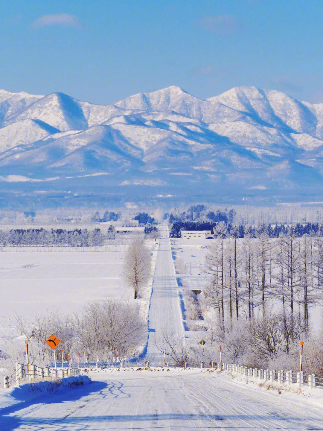 北海道雪景 唯美图片