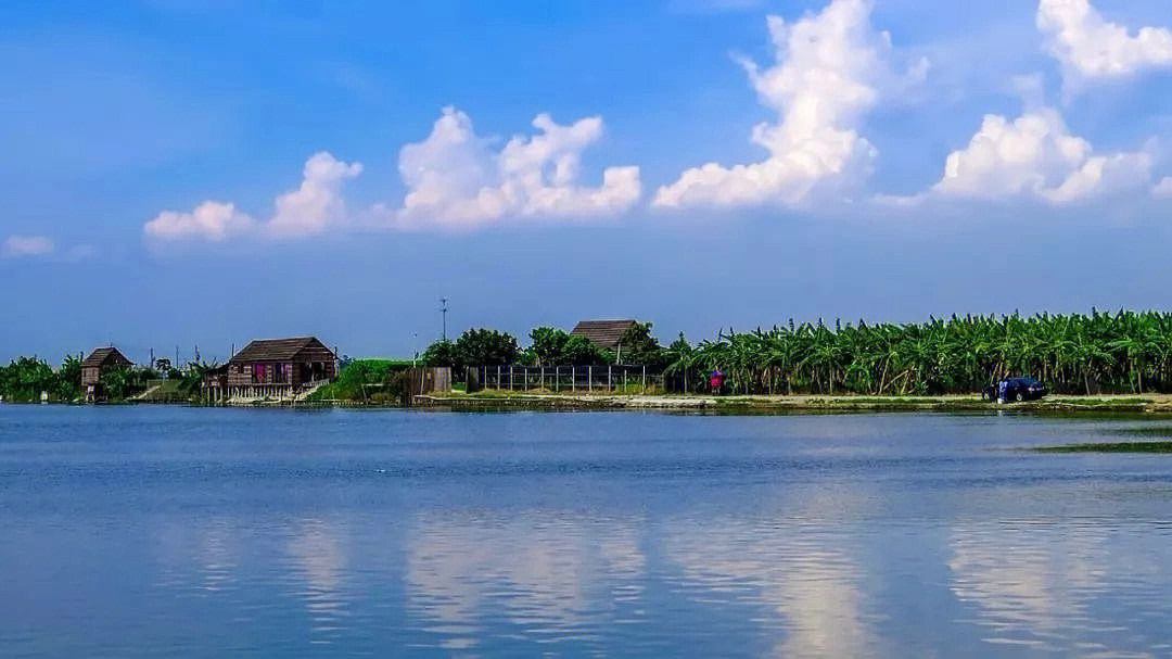 广州海鸥岛景点图片