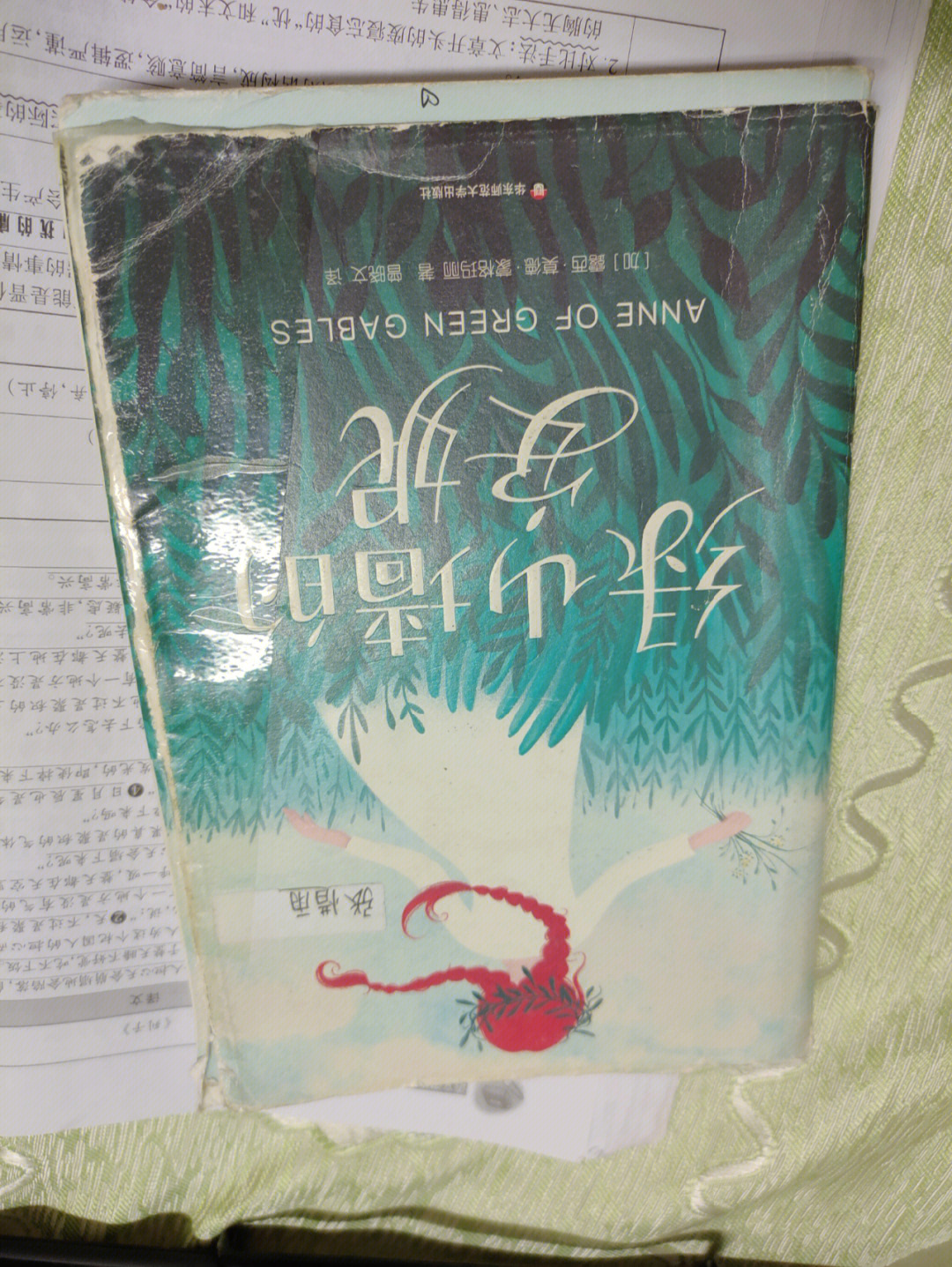 97孩子阅读《绿山墙的安妮》35-40页安妮和马瑞拉去别人家的路上