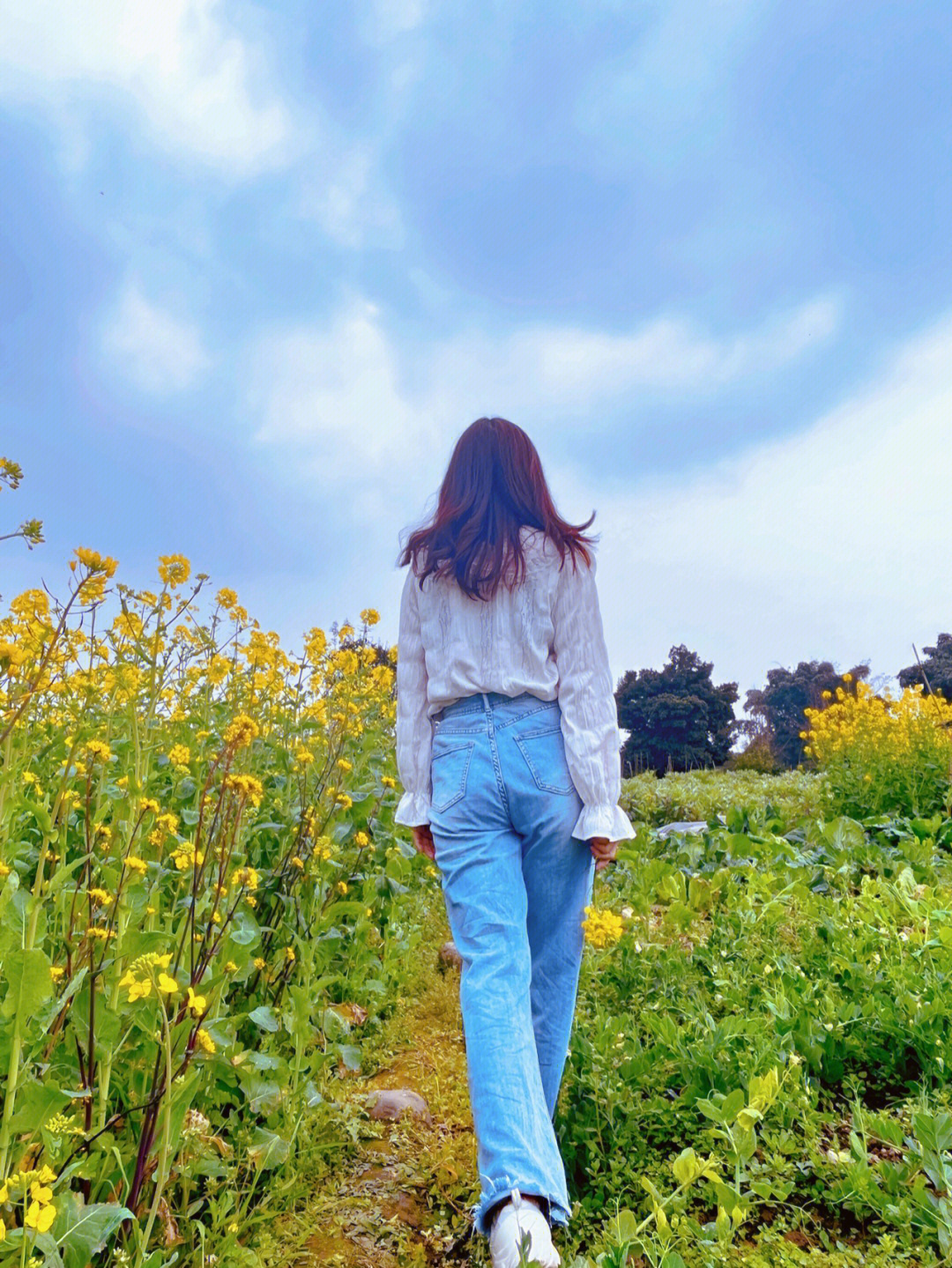 油菜花地拍照穿驼色图片