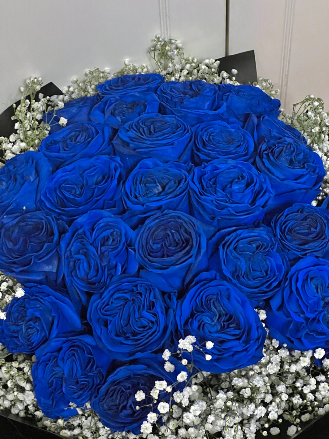 硫酸铜蓝玫瑰图片