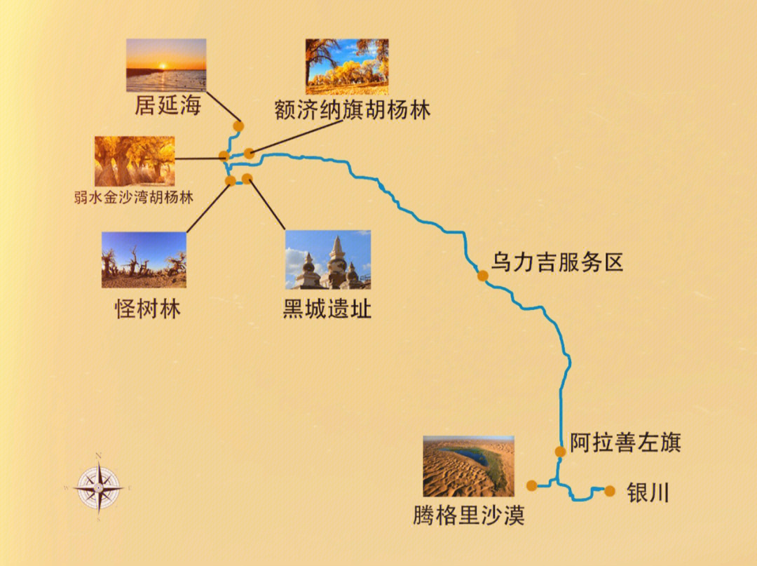 新疆胡杨林旅游攻略图片