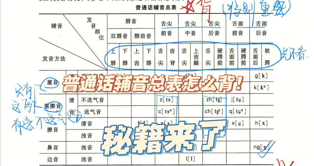 现代汉语元音和辅音表图片