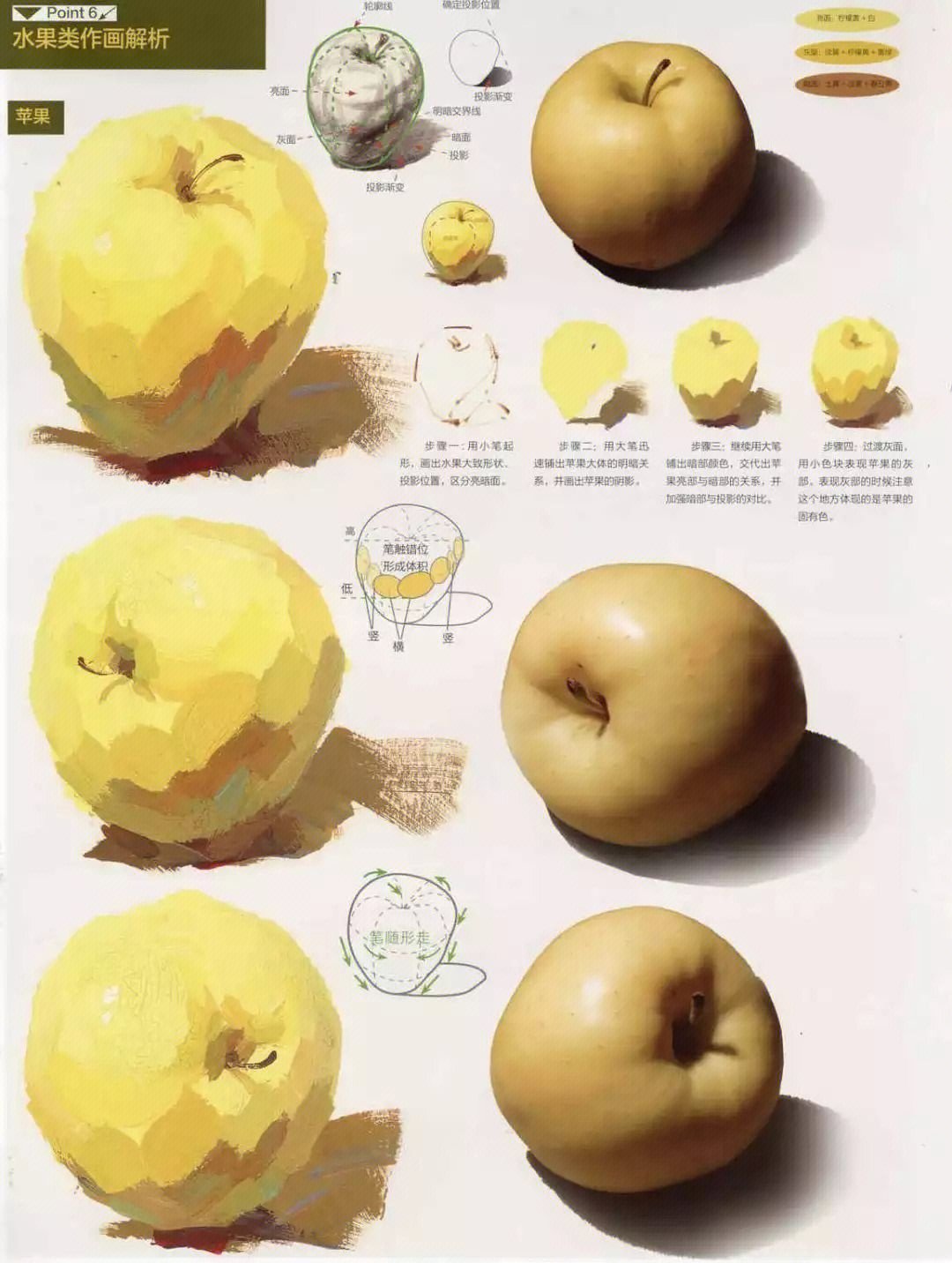 考前必备丨色彩静物单体范画三