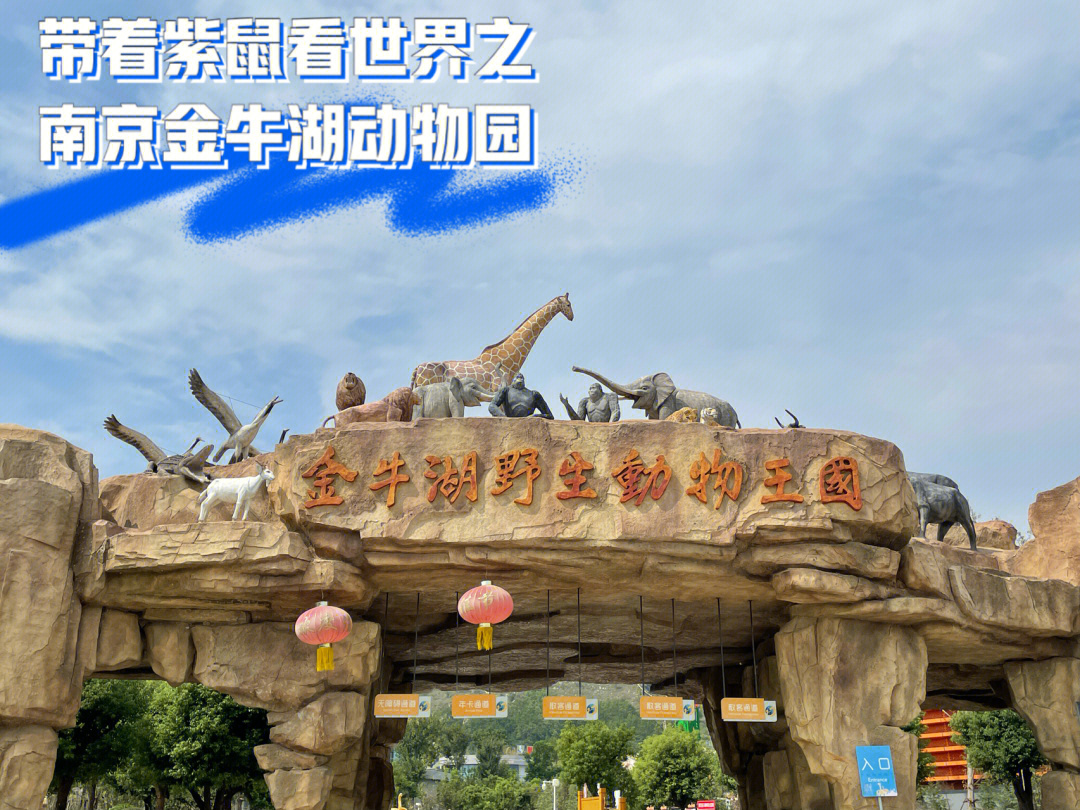江苏野生动物园排名图片