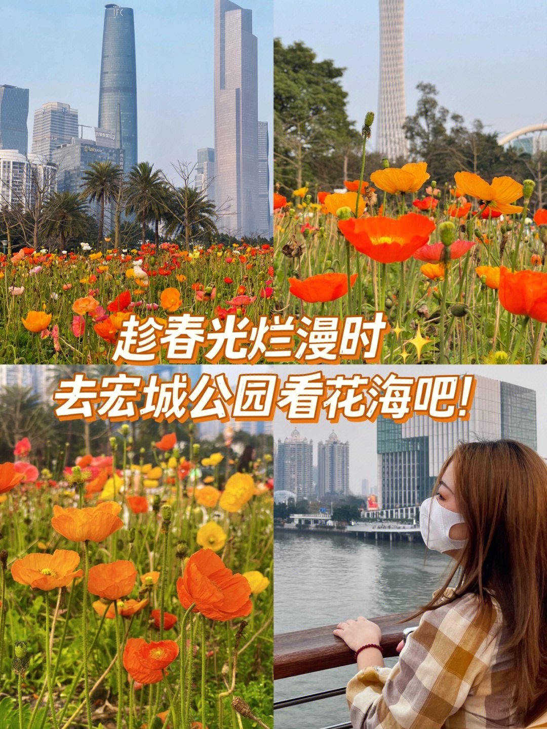 广州赏花趁春光烂漫时去宏城公园看花海
