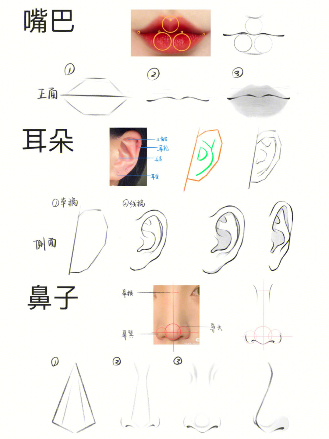 鼻子和嘴简笔画图片