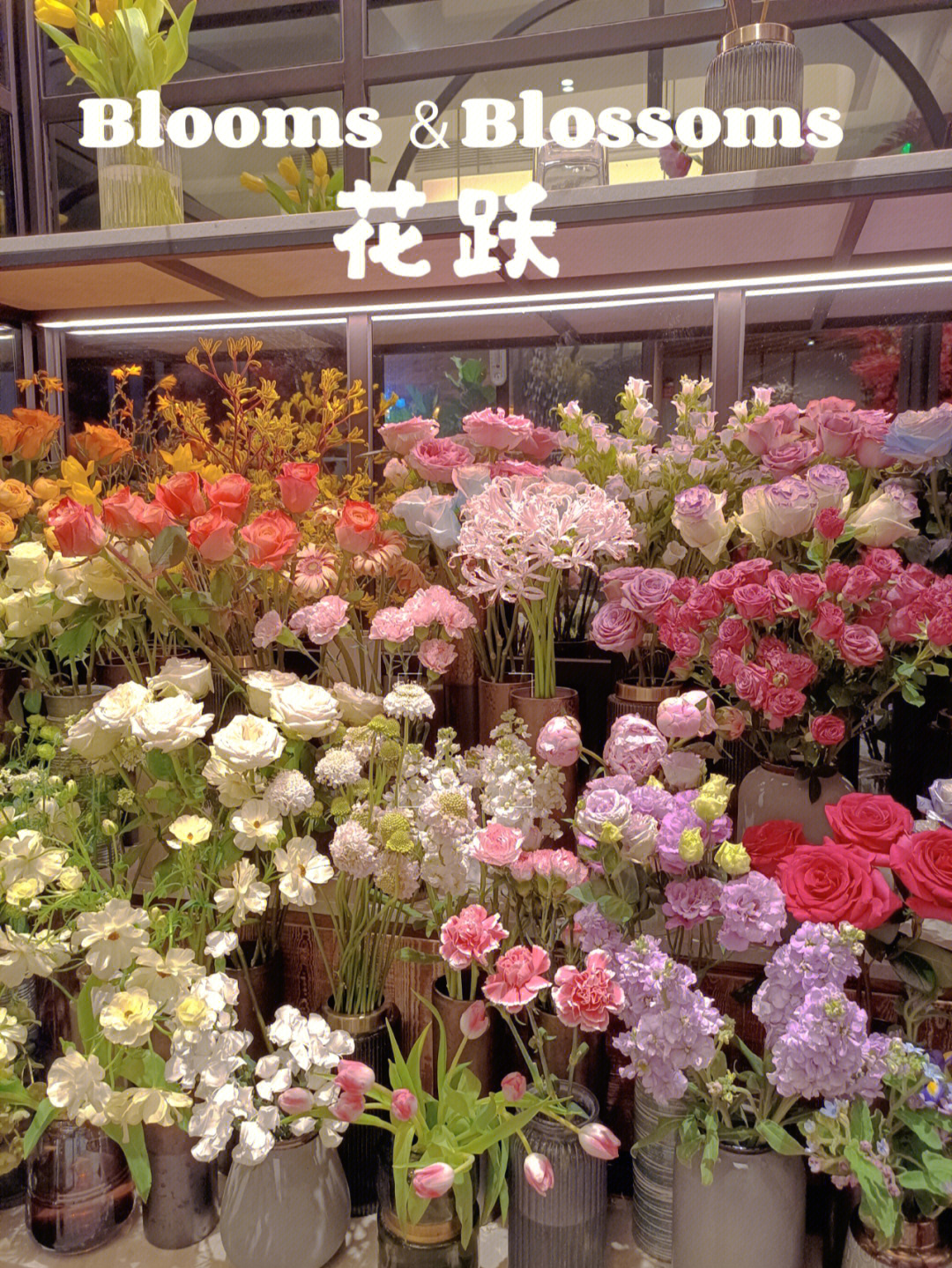花店都有哪些鲜花品种图片